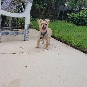 Meet your Posher, Avery